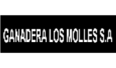 Sponsors Logo